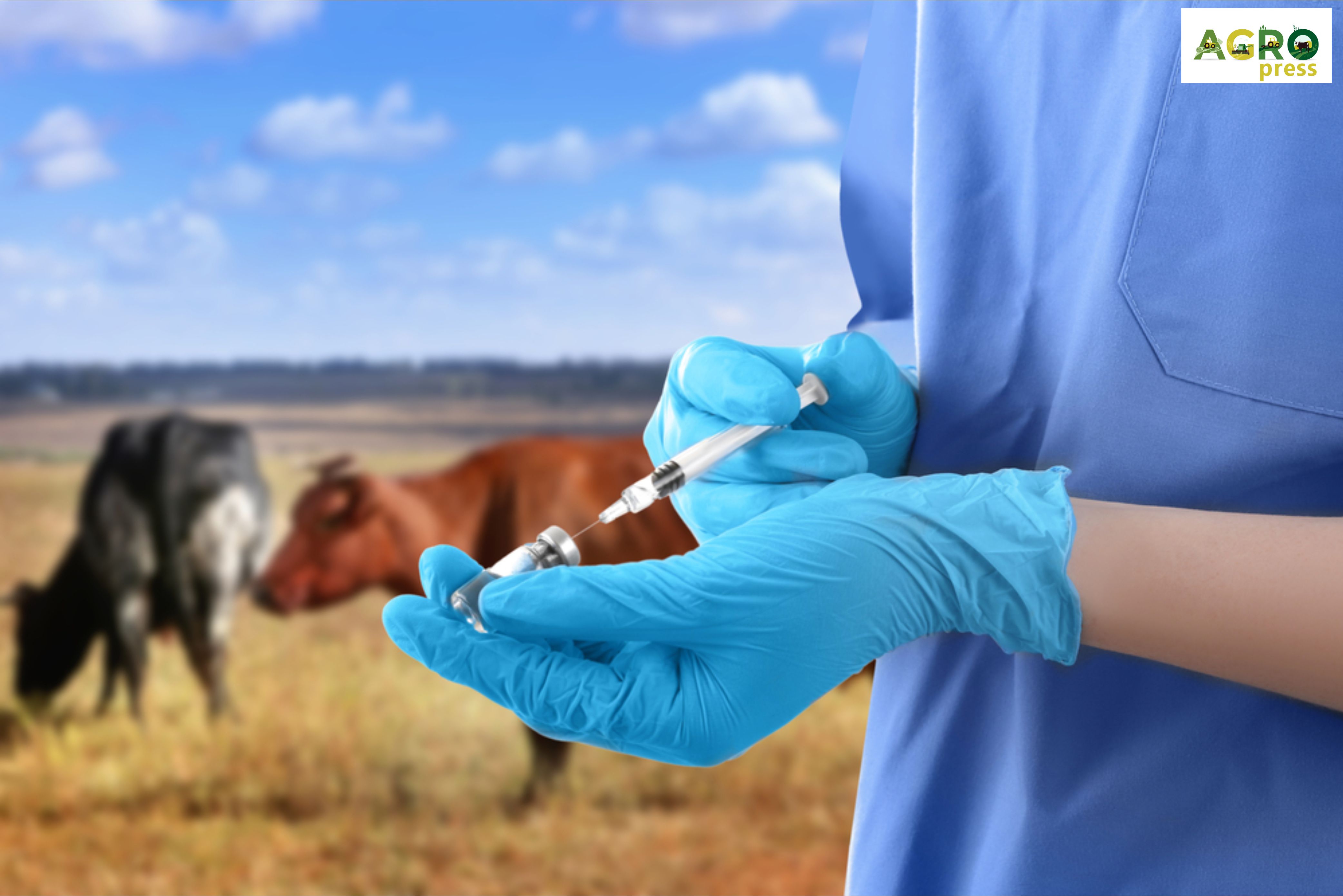 150 млн прививок сделают животным в 2020 году – Минсельхоз РК