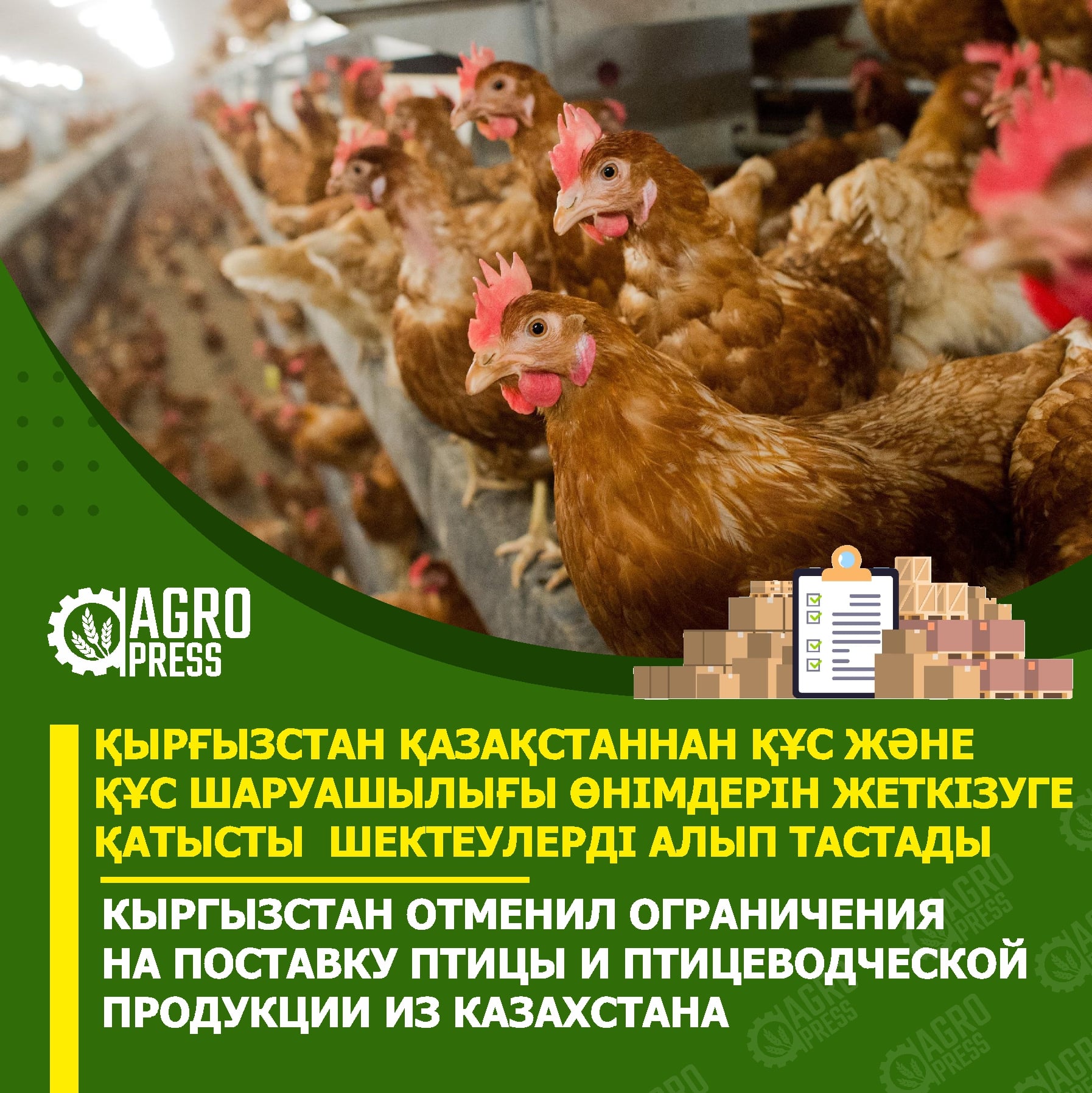 Кыргызстан отменил ограничения на поставку птицы из Казахстана