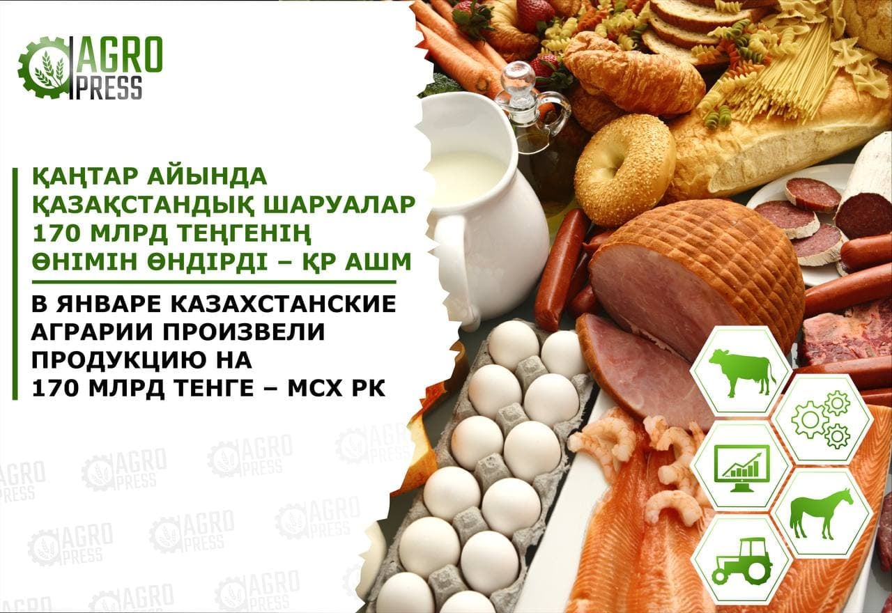 В январе казахстанские аграрии произвели продукцию на 170 млрд тенге – МСХ РК