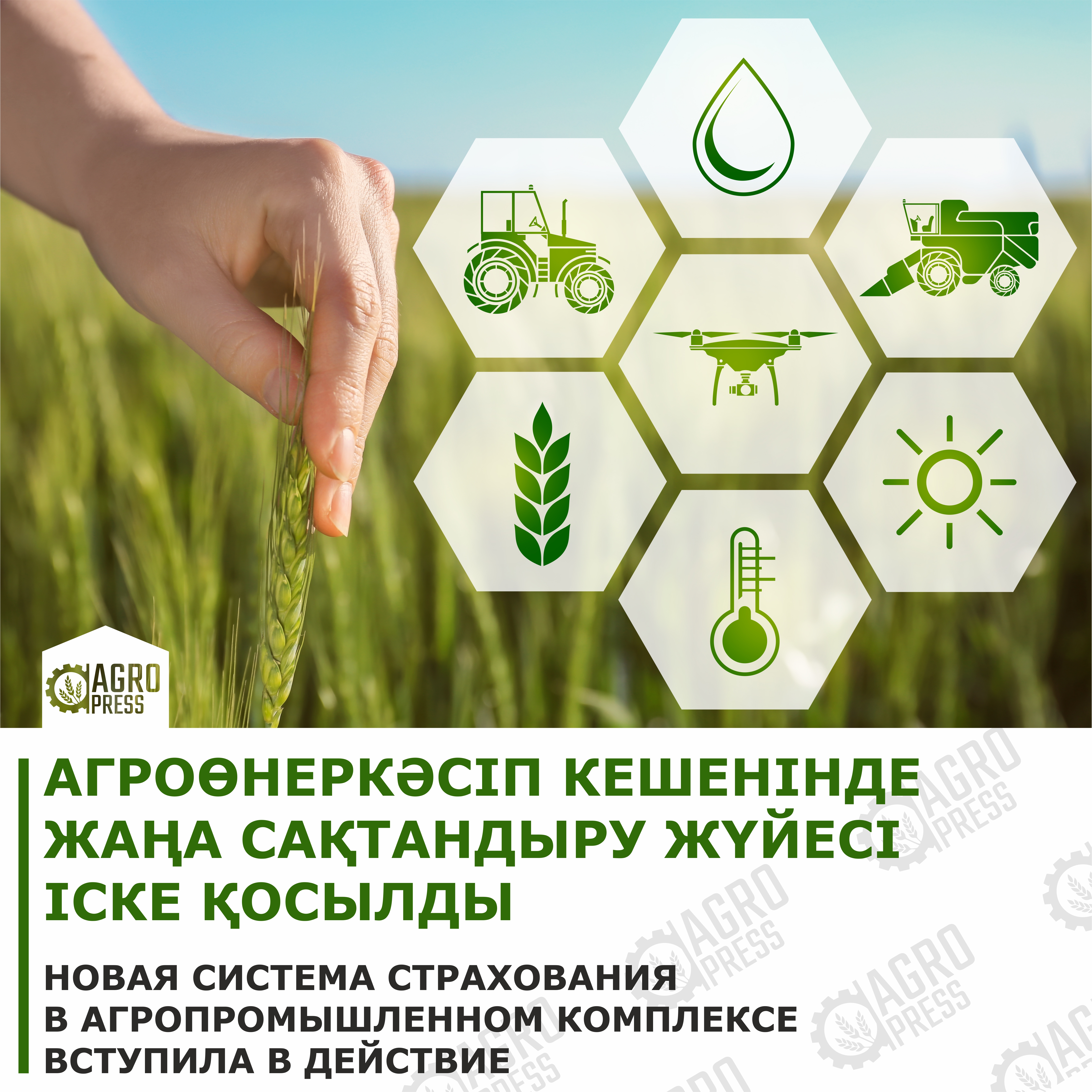 В Казахстане заработала новая система страхования в агропромышленном комплексе
