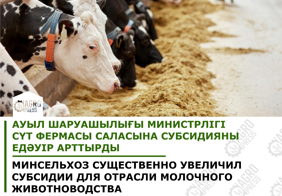 Минсельхоз Казахстана увеличил субсидии для отрасли молочного животноводства