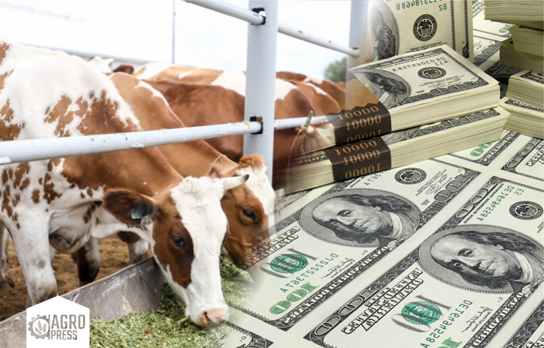 Всемирный банк выдаст Казахстану $500 млн на развитие животноводства