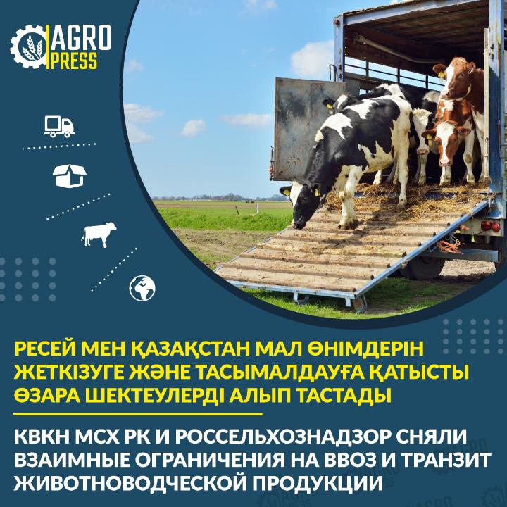 Казахстан и Россия сняли взаимные ограничения на ввоз и транзит животноводческой продукции