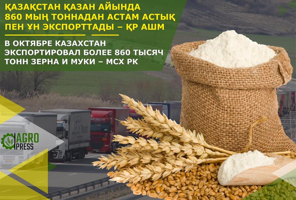В октябре Казахстан экспортировал свыше 860 тыс. тонн зерна и муки 