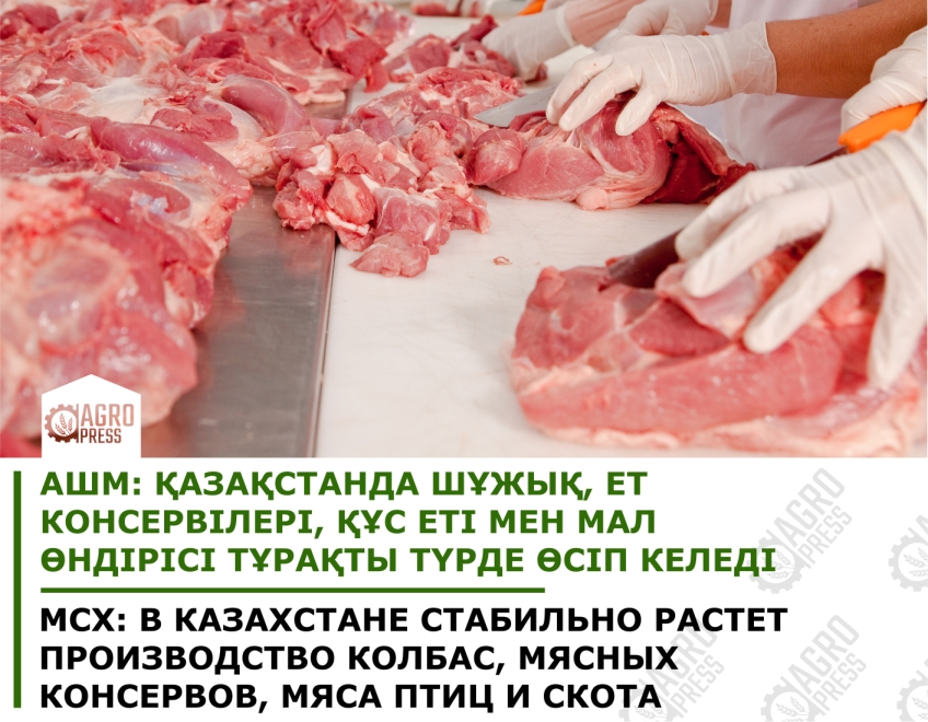 В Казахстане стабильно растет производство мяса и продукции его переработки
