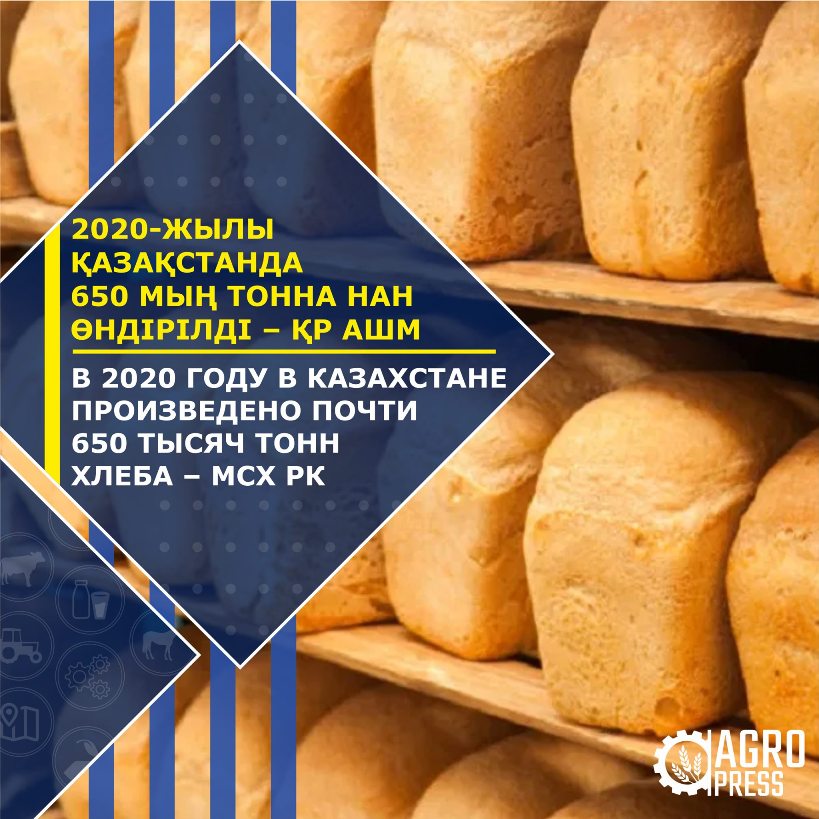 В 2020 году в Казахстане выросло производство продуктов – МСХ РК