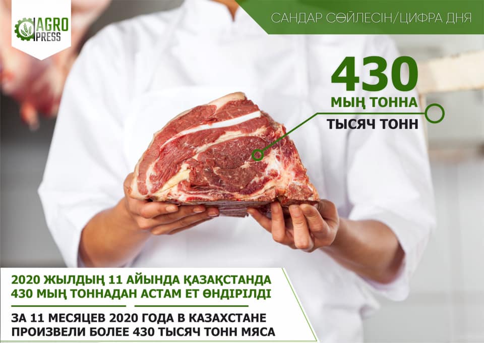 За 11 месяцев 2020 года в РК произвели более 430 тыс. тонн мяса