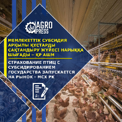 В Казахстане ввели новую поддержку для фермеров - страхование птиц