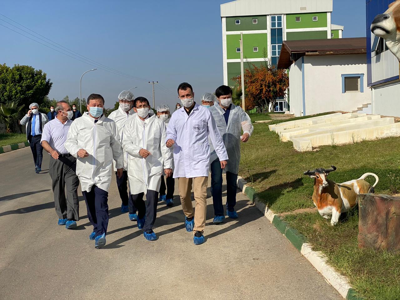 В Туркестанской области РК турецкие специалисты наладят производство ветпрепаратов и вакцин