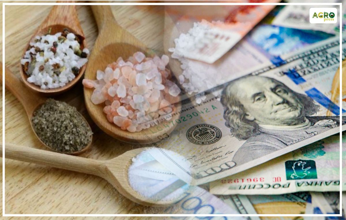 Объем экспорта казахстанской соли увеличился в 61 раз и вырос до $6,3 млн 