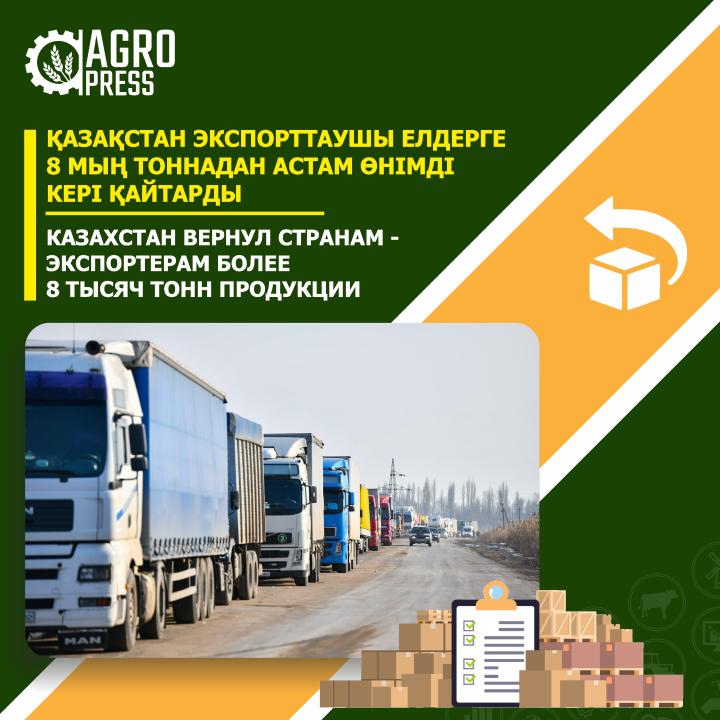 Казахстан вернул странам-экспортерам более 8 тыс. тонн продукции