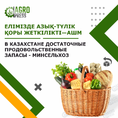 В Казахстане достаточные продовольственные запасы – Минсельхоз
