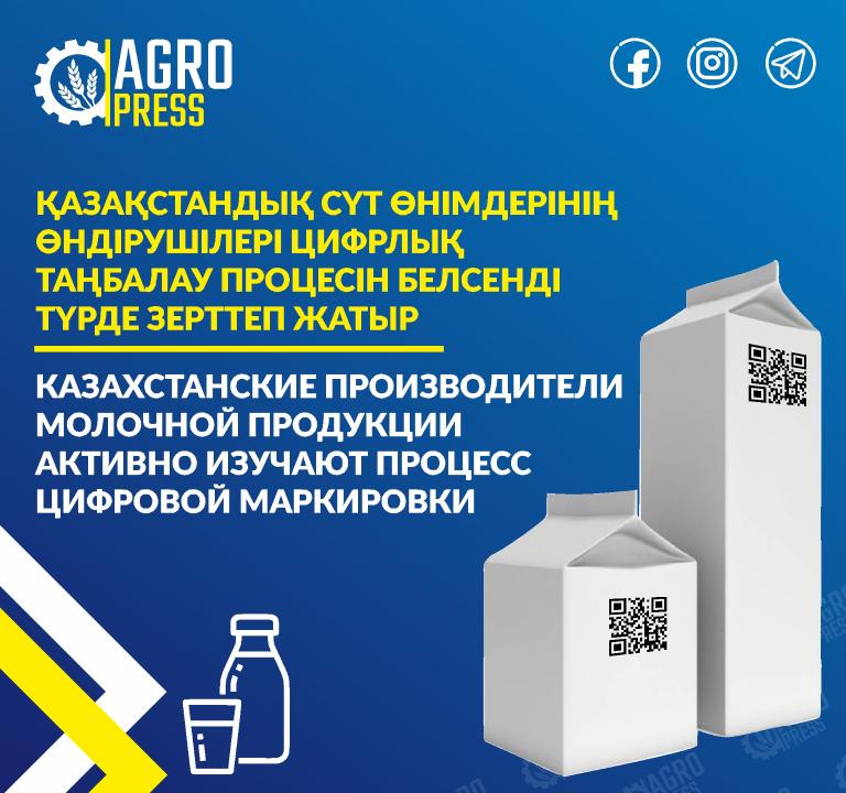 Производители молочной продукции РК занялись изучением цифровой маркировки