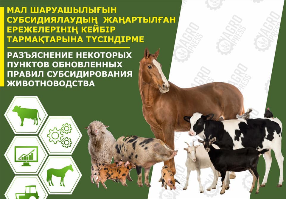 Разъяснение некоторых пунктов обновленных правил субсидирования животноводства