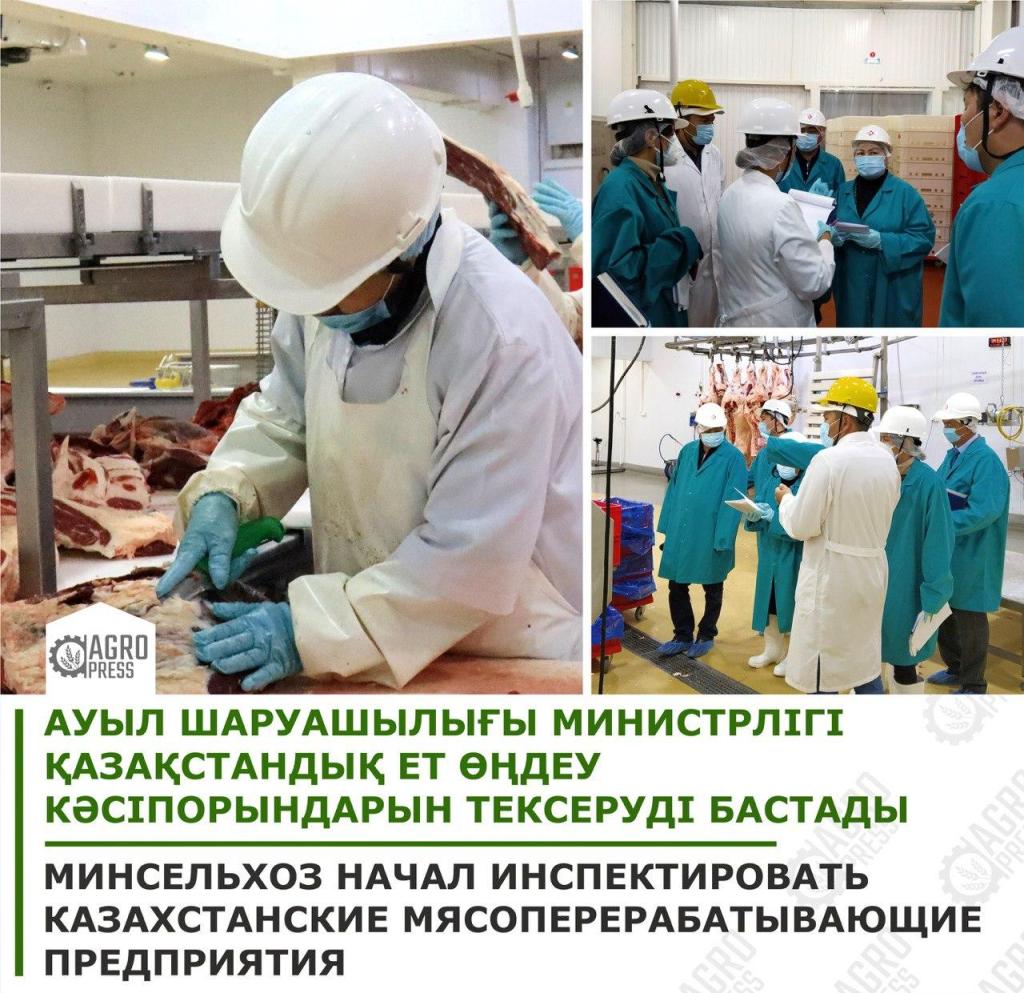 Минсельхоз начал инспектировать казахстанские мясоперерабатывающие предприятия