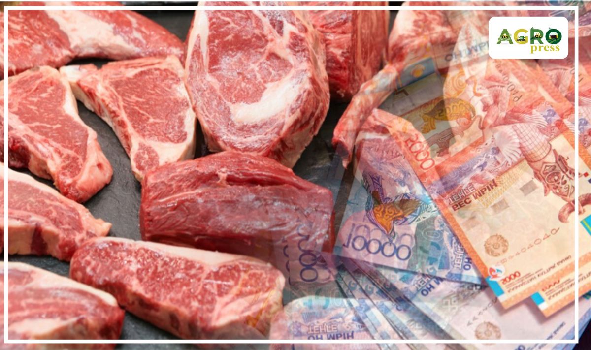 МСХ РК: сообщения о резком скачке цен на мясо некорректны  