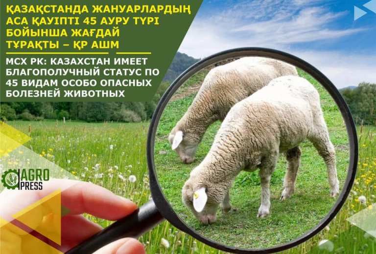 В Казахстане установлен благополучный статус по 45 видам особо опасных болезней животных