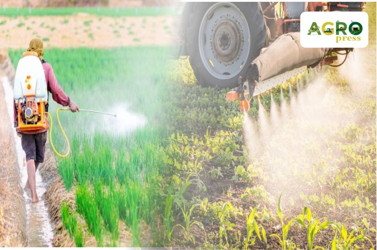 МСХ РК досрочно прекратил госрегистрацию китайского пестицида