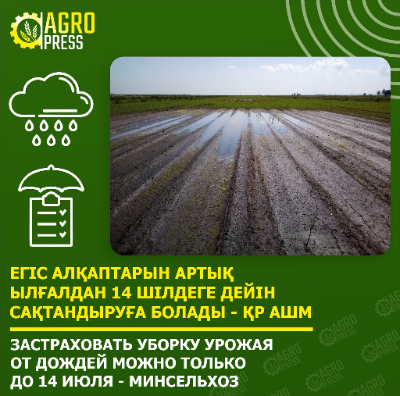 Застраховать уборку урожая от дождей в РК можно только до 14 июля