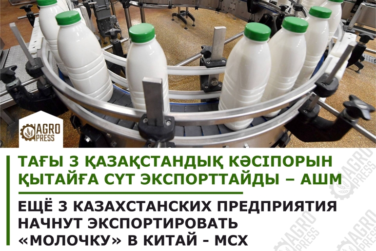 Ещё три казахстанских предприятия начнут экспортировать «молочку» в Китай – МСХ РК