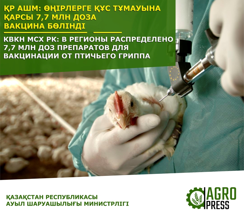 В регионы Казахстана распределено 7,7 млн доз препаратов для вакцинации от птичьего гриппа