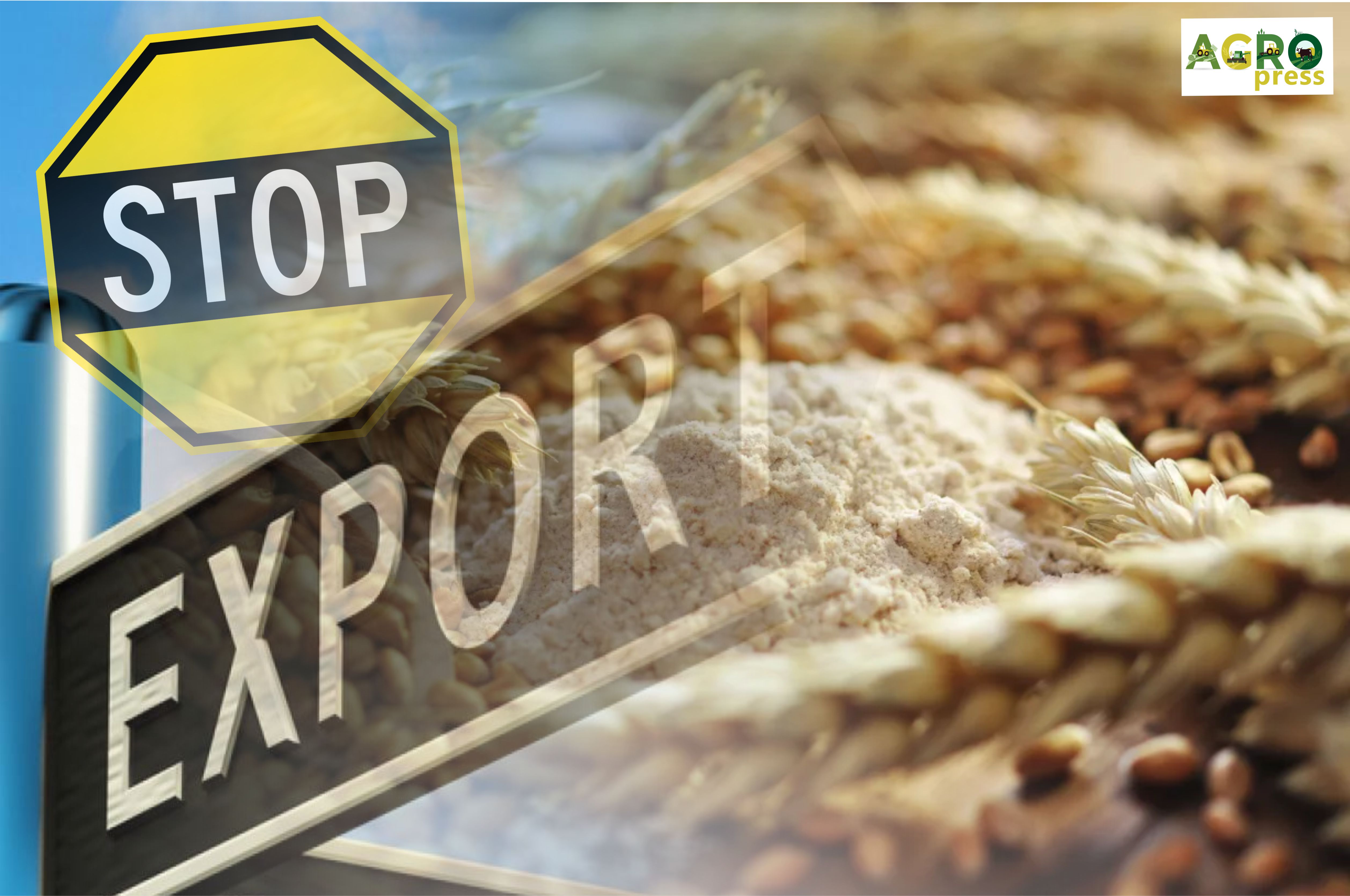 Минсельхоз вводит ограничение на экспорт зерна и отменяет запрет на вывоз муки