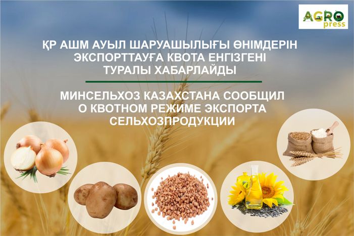 Квотный режим экспорта сельхозпродукции заявил Минсельхоз РК